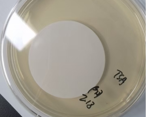在日常微生物限度檢查中，應該做幾個(gè)稀釋級