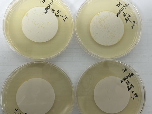 為什么微生物培養時(shí)平板要倒置